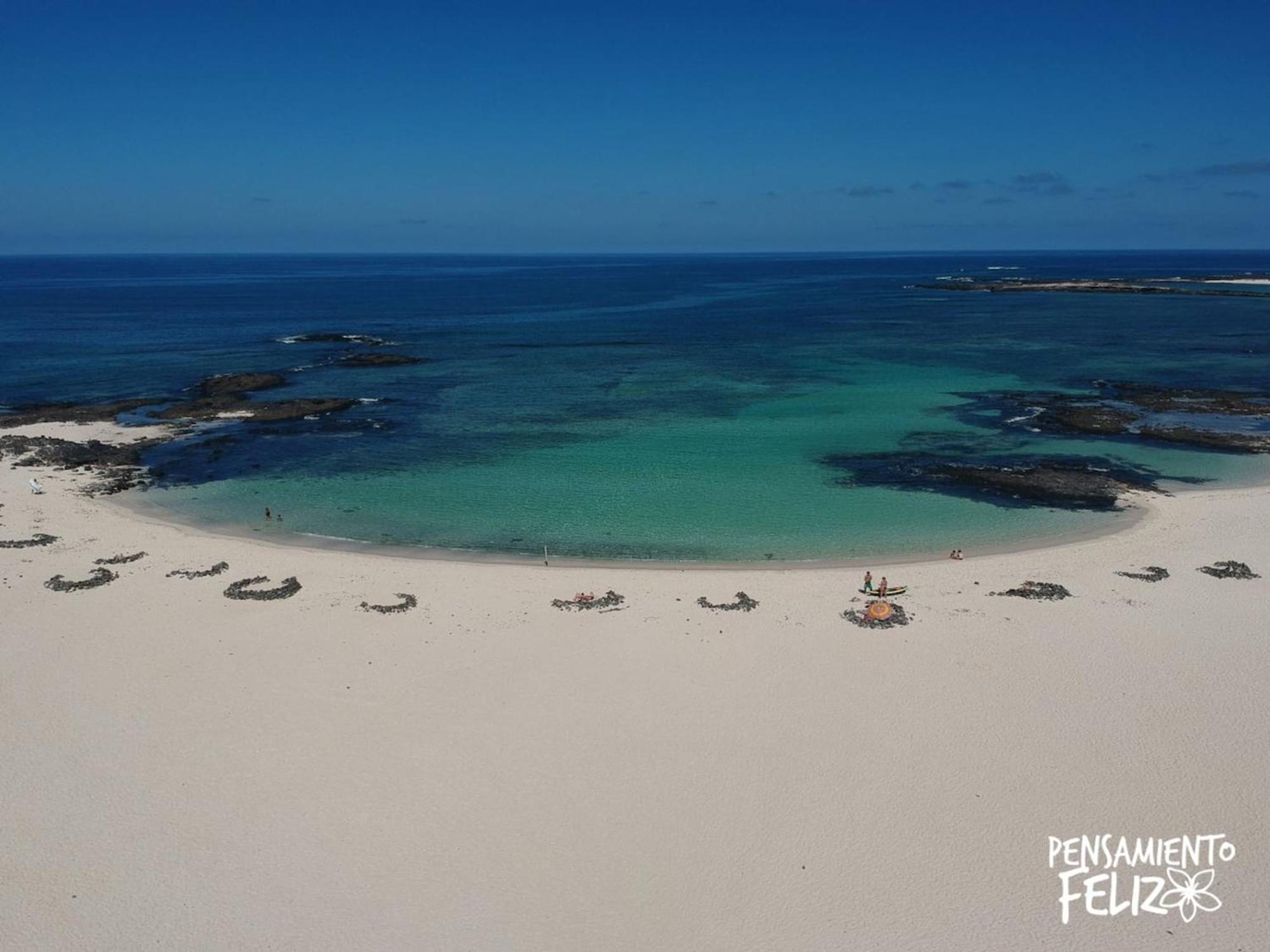 Pensamiento Feliz By Rentalfue Cotillo